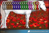 Horse Color:White Spotted Liver Chestnut Sabino 