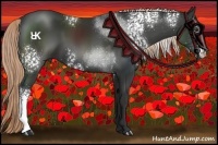 Horse Color:White Spotted Liver Chestnut Sabino 