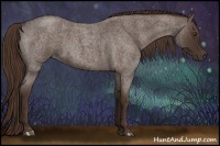 Horse Color:Liver Red Roan 