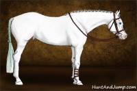 Horse Color:Watercolor White Spotted Chocolate Black Splash Tobiano Frame Blanket 