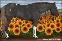 Horse Color:Liver Chestnut Tobiano 