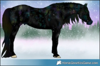 Horse Color:ERROR: UNKNOWN ANOMALY Brindle