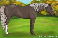 Horse Color:Silver Black 