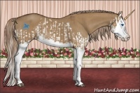 Horse Color:Red Dun Splash  and Red Dun Splash 