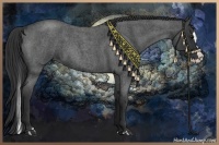 Horse Color:Blue Roan Splash 