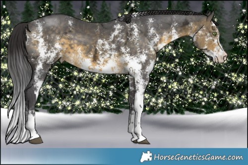 Horse Color:Buckskin Ice Sabino  Brindle