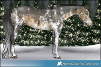 Horse Color:Buckskin Ice Sabino  Brindle
