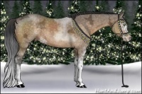 Horse Color:Buckskin Ice Sabino  Brindle
