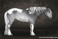 Horse Color:Silver Brown Chinchilla Splash Tobiano Frame  Brindle