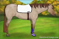 Horse Color:Red Dun Roan 
