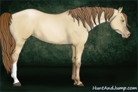 Horse Color:Liver Red Dun Pearl 