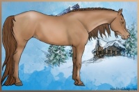 Horse Color:Bay Pearl 