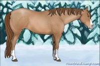 Horse Color:Bay Pearl Splash 