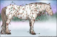 Horse Color:Black Pearl Appaloosa 