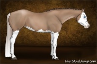 Horse Color:Black Pearl Splash 