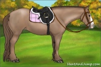 Horse Color:Black Pearl Splash 