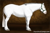 Horse Color:Liver Red Dun Pearl Appaloosa