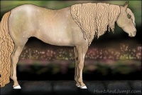 Horse Color:Liver Chestnut Pearl  Brindle