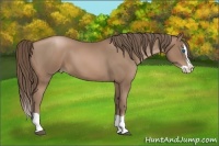 Horse Color:Black Pearl Splash 