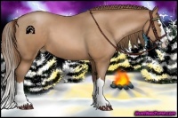 Horse Color:Bay Pearl Splash 