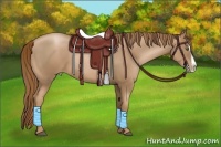 Horse Color:Liver Chestnut Pearl Splash