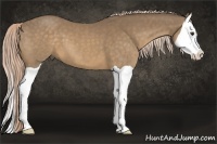 Horse Color:Chocolate Palomino Splash 