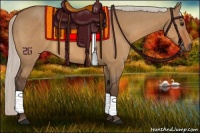 Horse Color:Silver Bay Dun 