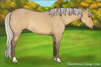 Horse Color:Silver Buckskin Roan Dun Rabicano 