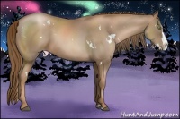 Horse Color:White Spotted Liver Chestnut Pearl Splash