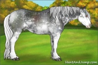 Horse Color:Silver Black Chinchilla Sabino 