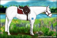 Horse Color:Palomino Pearl Appaloosa 