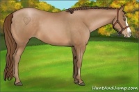 Horse Color:Bay Pearl Splash 