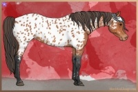Horse Color:Bay Near Leopard 