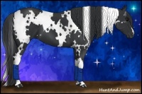Horse Color:White Spotted Black 