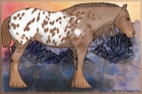 Horse Color:Chestnut Appaloosa