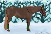 Horse Color:Liver Chestnut 