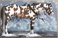 Horse Color:Liver Chestnut Splash Appaloosa 