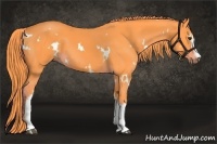Horse Color:Watercolor White Spotted Liver Chestnut 
