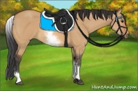 Horse Color:White Spotted Bay Dun 