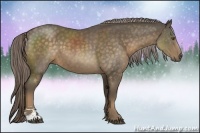 Horse Color:Chocolate Palomino Sabino 