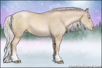 Horse Color:Silver Buckskin Pearl Sabino 