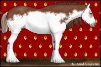 Horse Color:Chestnut Splash Frame