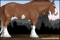 Horse Color:Chestnut Splash Frame