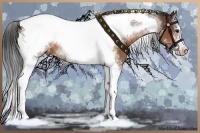 Horse Color:Bay Splash Tobiano Frame Appaloosa