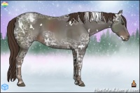 Horse Color:White Spotted Liver Chestnut Ice Sabino 