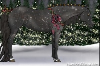 Horse Color:Liver Chestnut Sabino 