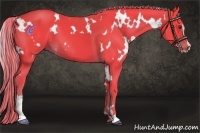 Horse Color:Watercolor White Spotted Liver Chestnut Sabino 