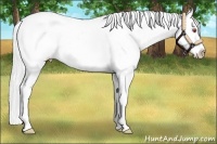 Horse Color:Chocolate Brown Chinchilla Blanket