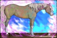 Horse Color:Chocolate Silver Smoky Grullo Sabino Splash 