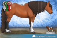 Horse Color:Bay Tobiano